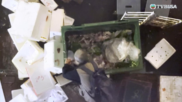 嘔心慎入！慈雲山伯伯「爬入垃圾桶」執死魚擺地攤販賣：即使不賣 也會繼續撿！