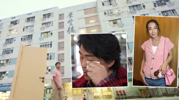 盤點8位「公屋出身」香港名人！甘比/沈嘉偉/李慧詩全係屋邨長大　網民：華富邨風水旺過半山