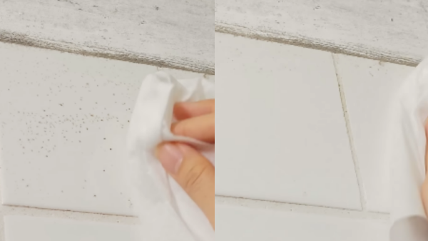 大掃除唔使刷到手軟！DAISO 6款「懶人濕紙巾」$12去油去霉　網民：比清潔劑更癲