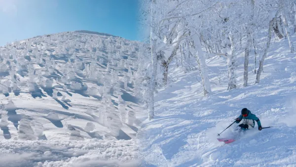 【日本滑雪2026】日本5大新手滑雪場推介 打卡藏王樹冰/高質粉雪/鄰近市區