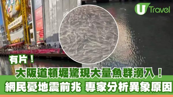 有片！大阪心齋橋大量魚詭異湧入塞河面 網民憂大地震先兆 專家分析原因