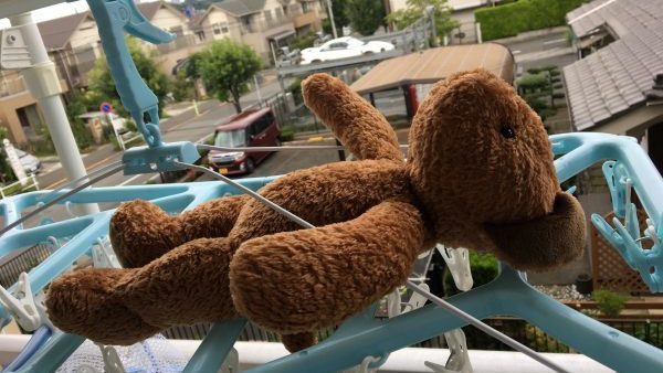 專家教4大清洗毛公仔方法！乾洗水洗都有技巧？即睇$2超低成本乾洗懶人法