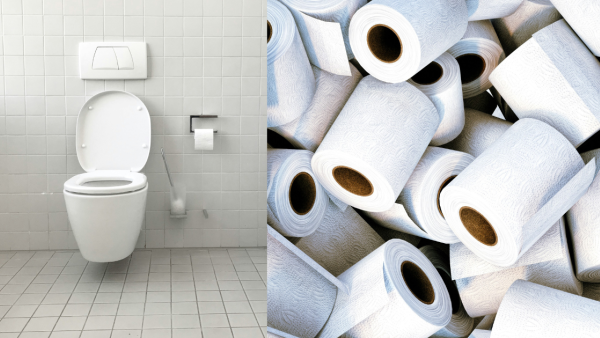 馬桶殺手！專家警告12樣物品「咪沖落廁所」 濕紙巾/頭髮隨時塞爆渠