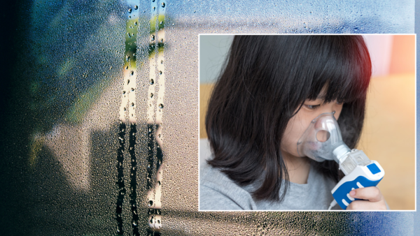 起身窗邊一灘水？玻璃窗「流眼淚」易養有毒黑霉　英國專家教用1物斷尾