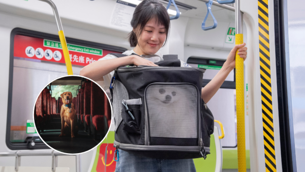 港鐵首度「解禁」准狗狗入閘搭車！限定一日 須符合3大條件！即睇報名方法