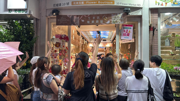 旺角花墟驚現「Bid花」熱潮！$1起標好玩過年宵？教你平價入手名貴盆栽