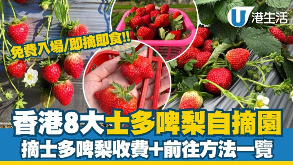 香港士多啤梨園推介2026︱全港8大必去士多啤梨園 免費入場/即摘即食日韓士多啤梨！