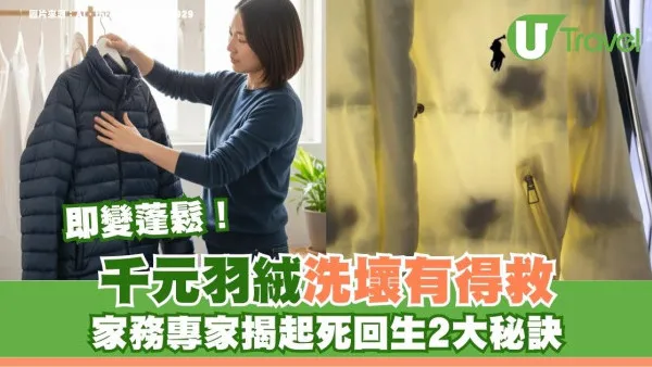 羽絨洗完變一嚿嚿怎辦！專家揭起死回生秘訣：加「此球」入乾衣機撞擊瞬變蓬鬆如新