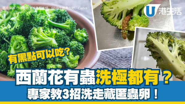 西蘭花有蟲洗極都有？網民驚見西蘭花藏35條蟲 專家教3招洗走藏匿蟲卵