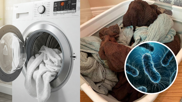 毛巾幾耐唔洗=用馬桶抹身？病菌量破8,000萬隻！醫生教4步除菌神技　消委會籲：用滿呢個期限必換