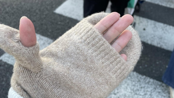 凍到手麻必備！呢款$99手套標榜吸濕發熱？網民實測：唔係裝飾真係會暖！去日本北海道都夠用