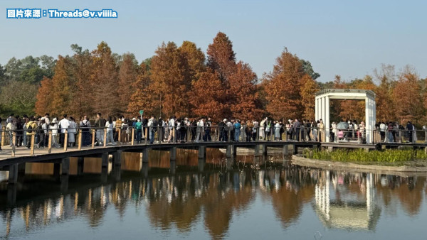 天水圍濕地公園淪陷！來回4小時只為睇落羽松：網民直擊超長人龍排隊進場　未夠4點已截龍