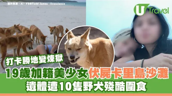  打卡勝地變煉獄？澳洲卡里島19歲美少女慘死伏屍沙灘 遺體遭10隻野犬殘酷圍食