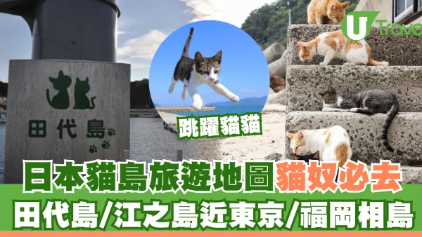 【日本貓島】貓奴朝聖地圖不止田代島！日本逾10大貓島必去江之島/福岡相島
