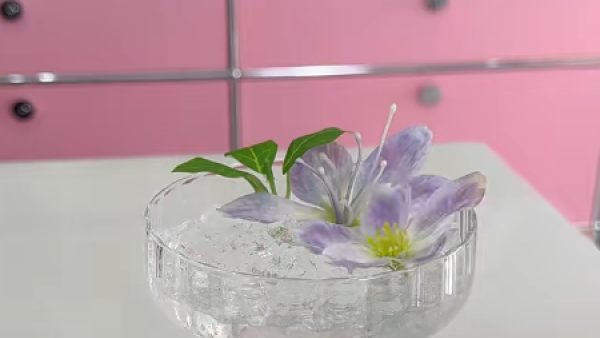 冰袋唔好再掉！網民教2個隱藏妙用：做擴香座、救植物、呢樣嘢千祈咪做