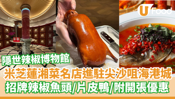 米芝蓮湘菜名店「湘上湘」進駐尖沙咀    招牌辣椒魚頭／片皮鴨／辣炒鮑魚