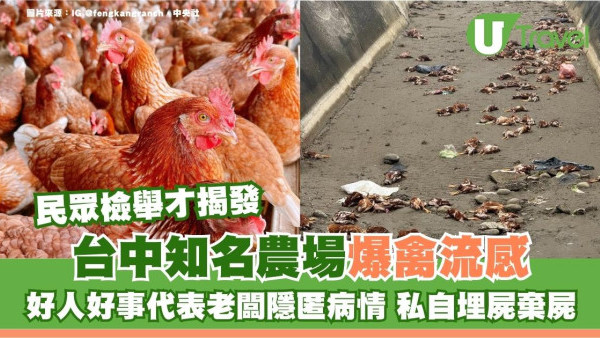 台中知名農場爆禽流感！好人好事代表老闆隱匿病情私埋死雞跨縣棄屍 遊台宜暫避溫泉蛋