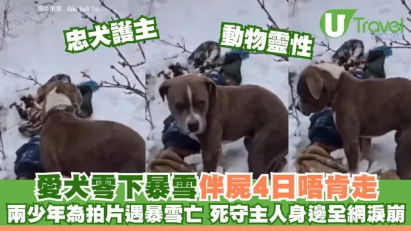 兩男雪山失溫變僵屍！忠犬守遺體4日不肯走震撼搜救員 外遊行雪山4招救你一命