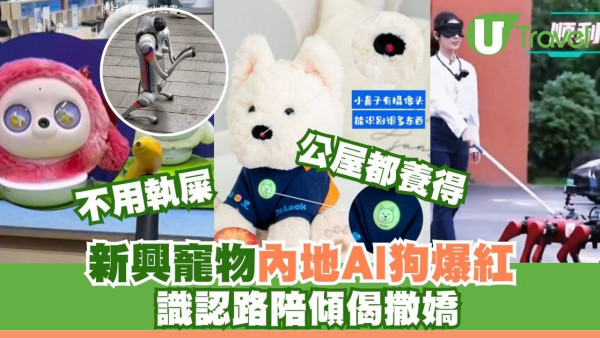 唔使執屎唔驚老死！中國內地AI寵物狗爆紅 識認路陪傾偈撒嬌 網民：治癒感爆棚 