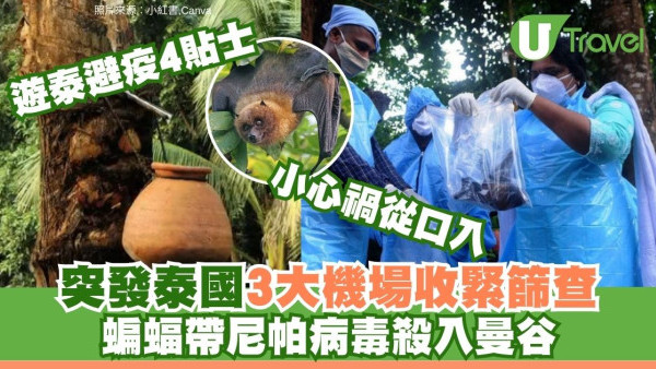 曼谷突發機場收緊入境篩查！泰國蝙蝠驗出尼帕病毒可人傳人致死率75% 遊泰避疫4貼士