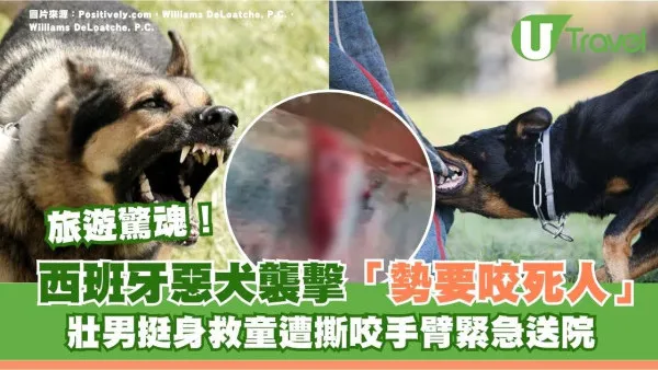 西班牙著名海濱大道爆惡犬血案 壯男慘遭咬爛手血肉模糊 全球5大惡犬出沒高危區