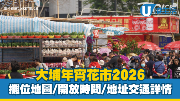 大埔年宵花市2026｜61個攤位地圖、開放時間、地址交通詳情