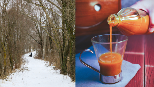 BBC揭全球7大養生術！日本神秘「1物摩擦」防感冒、印尼千年神飲增強免疫