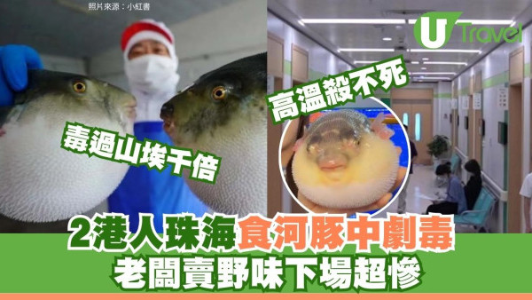 2港人珠海食河豚中毒麻痺命危 高溫殺不死劇毒勁過山埃 老闆賣野味下場超慘