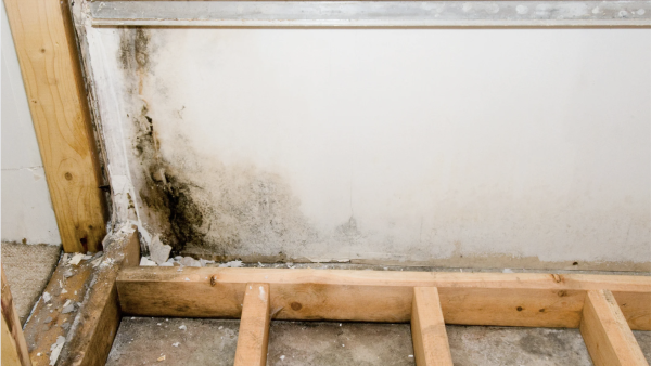 大掃除後發燒17日「腦穿20個洞」少女險變植物人！醫生揭1個物質係致命元兇