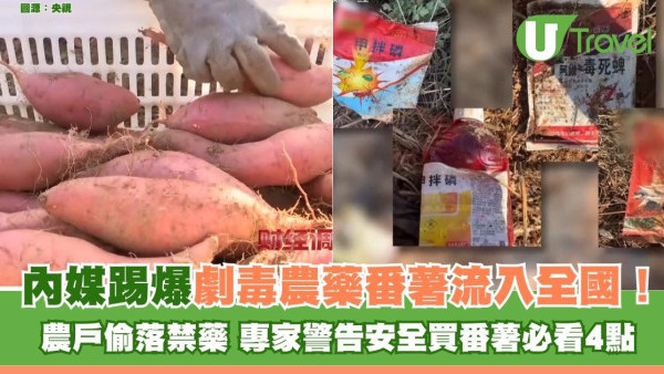 內媒踢爆「劇毒番薯」流入全國！農戶偷落禁藥自己也不吃 專家︰安全買番薯必看4點 