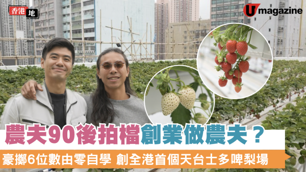 90後拍檔創業做農夫？豪擲6位數由零自學  創全港首個天台士多啤梨場