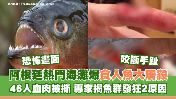 恐怖畫面！阿根廷熱門海灘爆食人魚大屠殺46人血肉被撕 專家揭魚群發狂2原因