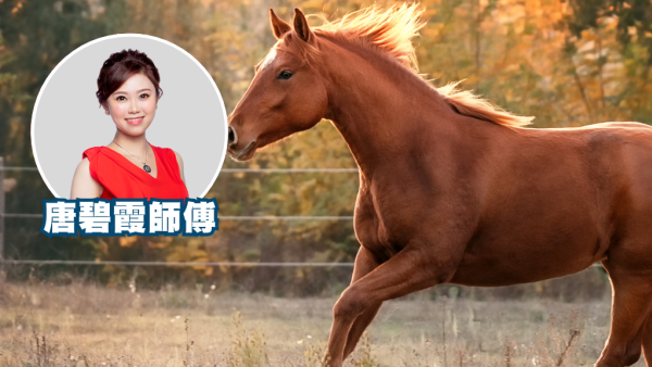 馬年初三賽馬日2026｜專家教1招馬場貼中頭馬！幸運數字/顏色/出門位置都有講究