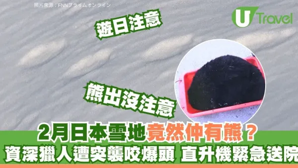 日本熊襲再現疑沒有冬眠！獵人放煙花反遭咬面 岩手遊客極高危