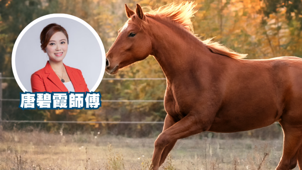 馬年初三賽馬日2026｜專家教1招馬場貼中頭馬！幸運數字/顏色/出門位置都有講究