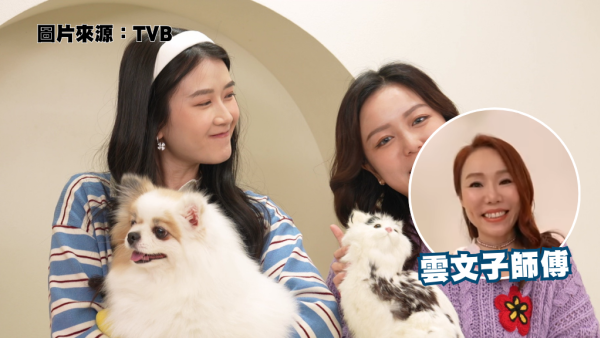 寵物風水｜雲文子教路馬年貓狗吉星催運法！寵物床呢隻顏色最旺 帶挈主人旺足全年