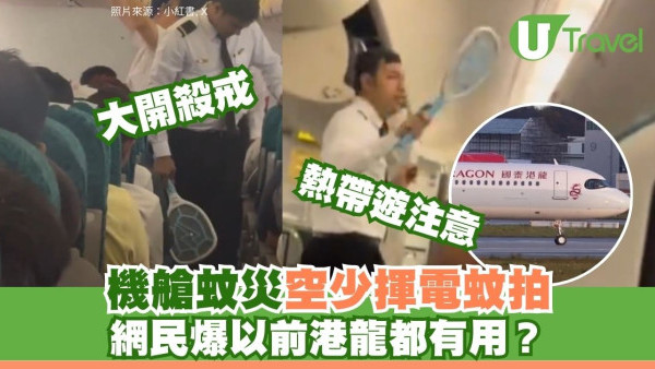 南亞旅遊注意｜航班爆蚊患空少電蚊拍滅蚊！網民揭港龍亦有同類配備