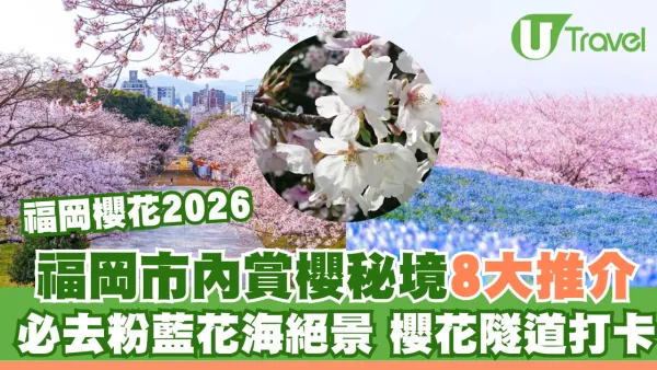 福岡櫻花2026｜福岡市內賞櫻秘境8大推介附交通 必去粉藍花海絕景、櫻花隧道打卡