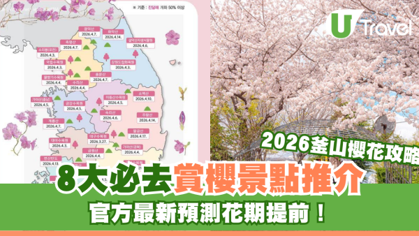 【2026釜山櫻花攻略】官方最新預測花期提前！8大賞櫻景點必去推介
