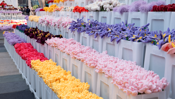 15萬枝毛絨花藝術裝置登陸中環！免費入場即拎走限定毛絨花1朵