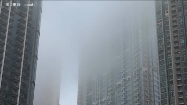 抽濕機界「不老神機」！網民推爆1款日本牌子長開20年唔壞、有人半夜被「燒到」即落單