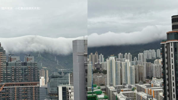 獅子山驚現「雪山」奇景？啟德居民早上直擊！雲霧淹沒山頭似足富士山
