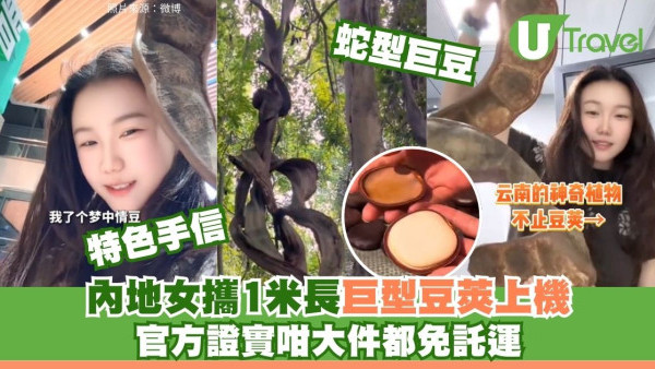  內地女子攜1米長「巨型豆莢」搭飛機嚇呆乘客 內地機場證實：無須託運