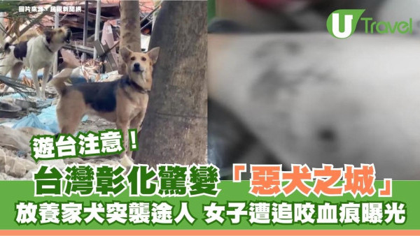 遊台注意！台灣彰化驚變「惡犬之城」放養家犬突襲途人 女子遭追咬血痕曝光