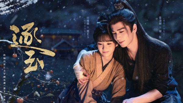 逐玉線上看｜追劇日曆+Netflix更新時間！張凌赫&田曦薇先婚後愛收視衝冠