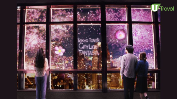 東京鐵塔全新「夜櫻光影秀」登場！沉浸式特效仿如置身夢幻花海  粉色櫻花時段必打卡