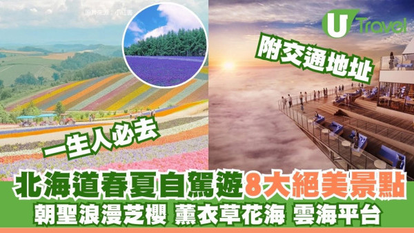 北海道春夏必賞8大絕美景點！朝聖浪漫芝櫻、薰衣草附交通地址