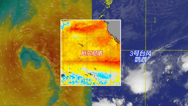 3月罕現3號颱風鸚鵡！專家預警2026成「超強颱風大年」 點名4大高危區