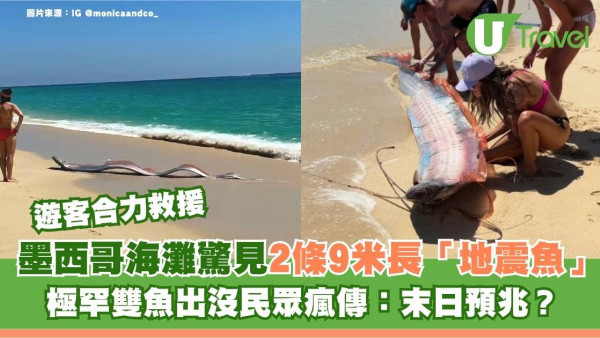 墨西哥海灘驚見2條9米長「地震魚」極罕雙魚出沒民眾瘋傳：末日預兆？