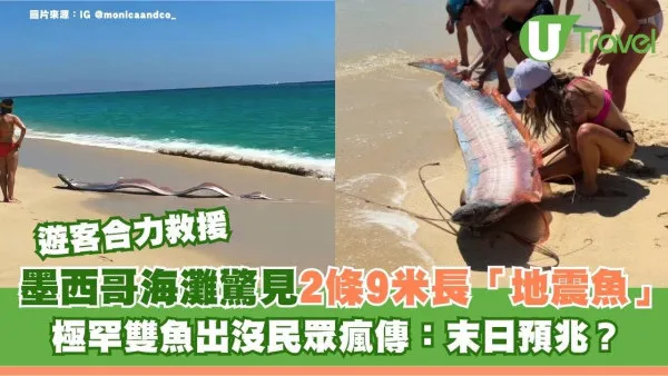 墨西哥海灘驚見2條9米長「地震魚」極罕雙魚出沒民眾瘋傳：末日預兆？